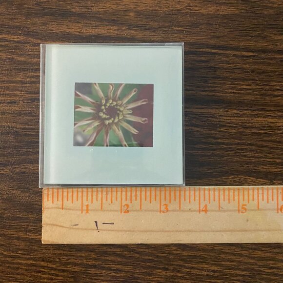 Kate Aspen Picture Photo Frame Glass Coasters 3.5”x3.5” 2 Piece Set 2008 NEW - Picture 3 of 4